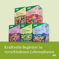 Salus - Ceai Krafttier - Libelula curajoasă - 1X 15 pliculețe filtru (24 g) - Ceai de plante cu aromă de lămâie - Cu sunătoare - Aromatizat - Bio