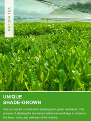 Teelux Matcha pulbere de ceai verde de ceremonie 100 g, vegan, pulbere de ceai verde Matcha premium vibrant, 100% frunze de ceai pure măcinate cu piatră, prima recoltă