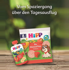 HiPP Mini Inimi de Ovăz Căpșuni-Zmeură (12 x 40g), de la 1 an, baton-snack organic în formă de inimă, cu conținut ridicat de cereale și fibre, îndulcit doar din fructe, de cea mai bună calitate organică