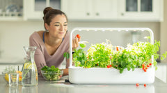 Klik og gro indendørs have, lettere end hydroponisk dyrkningssystem, LED Smart Garden, Urtehave, Indendørs drivhus med 9 plantekapsler inkluderet (hvid)