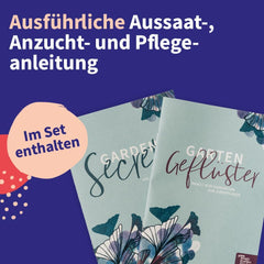 Magiske havefrø - Centraleuropæisk frøsæt til lægeplanter - 12 traditionelle sorter af populære lægeplanter - Arvestykker - Havetilbehør - Plantefrø - Gave til haveelskere