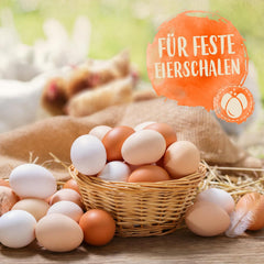 Ida Plus - GoldenEgg 200 ml - reduceret Brucheier & Federfressen - understøttet Federwachstum & Federkleid - Wichtige Mineralien & Vitamine für Hühner - Beste Eierqualität bei Ihrer Hühnerhaltung