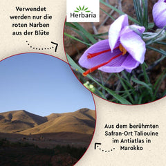 Herbaria Safran-Fäden bio 0,5g im Glas – Bio Saffron-Fäden aus dem bereicht Safran-Ort Taliouine i Marokko – Safranfäden i Premium Bio-Qualität – Saffron Premium - Safran première catégorie