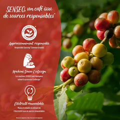 SENSEO Café corsé - 54 dosettes
