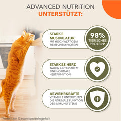 IAMS Delights Sea Collection Hrană Umedă pentru Pisici fără Cereale - Pachet Multiplu cu Varietăți de Pește în Sos, Hrană Umedă fără Cereale pentru Pisici de la 1 An, 12 x 85g