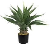 Decovego Aloe Vera Kunstpflanze 54 Cm Künstliche Plastik Pflanze Im Topf Kunstbaum Künstlich Pflanze Zimmerpflanze Sukkulente Innendekoration Deko