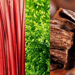 JOP! Gå! Shower gel til mænd, med træagtig-frugtagtig duft, 150 ml Shower and bath Naty Shop