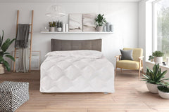 Traumnacht Comfy Mono Dyne i bomuld til alle årstider, ideel overgangsdyne med bomuldsblandingsbetræk, 135 X 200 cm, vaskbar, Øko-Tex-certificeret, Lavet til tysk kvalitetsstandard dyner og dyner Naty Shop 135 X 200 Medium dyne til alle årstider