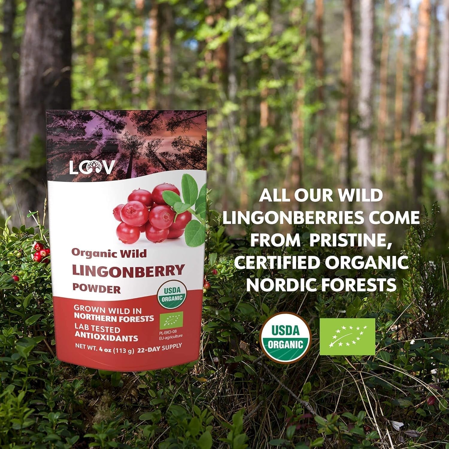 LOOV pulbere organică de afine, fabricată din afine sălbatice 100% întregi, liofilizate, recoltate în pădurile din nordul Europei, 113 g, fără zahăr adăugat Produse deshidratate Naty Shop