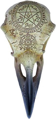 Omega Raven Skull Statuete si sculpturi Naty Shop