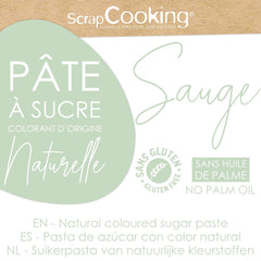 ScrapCooking - Pâte à Sucre Vert Sauge 250g - Colourant d'Origine Naturelle - Sans Gluten, Sans Huile de Palme - Pour Gâteaux, Pâtisseries Anniversaire - Vert Pastel - Fabriquée en France - 7621 Pasta de zahar Naty Shop