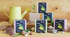 Feel Green Message Cube, Holzwürfel Mit Lasergravierter Glücksbohne"Danke", Nachhaltige Geschenkidee, 100% Eco Friendly, Anzuchtset, Made in Austria
