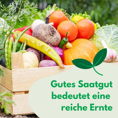 Cosmos Sensation Mix 1g frø, Cosmos Mix Sommerblomster, Haveplanter Balkonplanter, Blomsterfrø