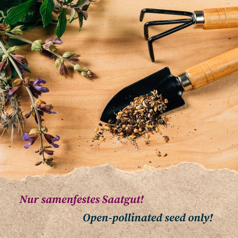 Heilige Druiden-Pflanzen (Bio) - Samen-Geschenkset Mit 4 Magischen Pflanzen Der Keltischen Druiden