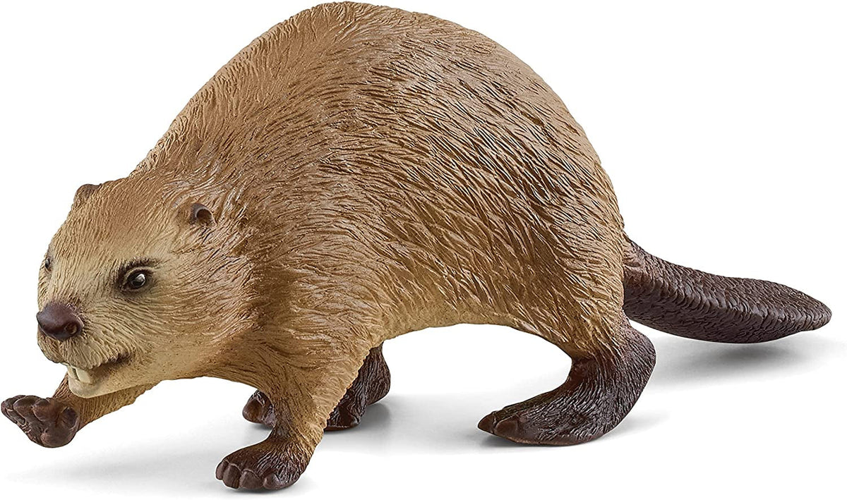 Beaver Beaver Action figures Naty Shop Versiune veche