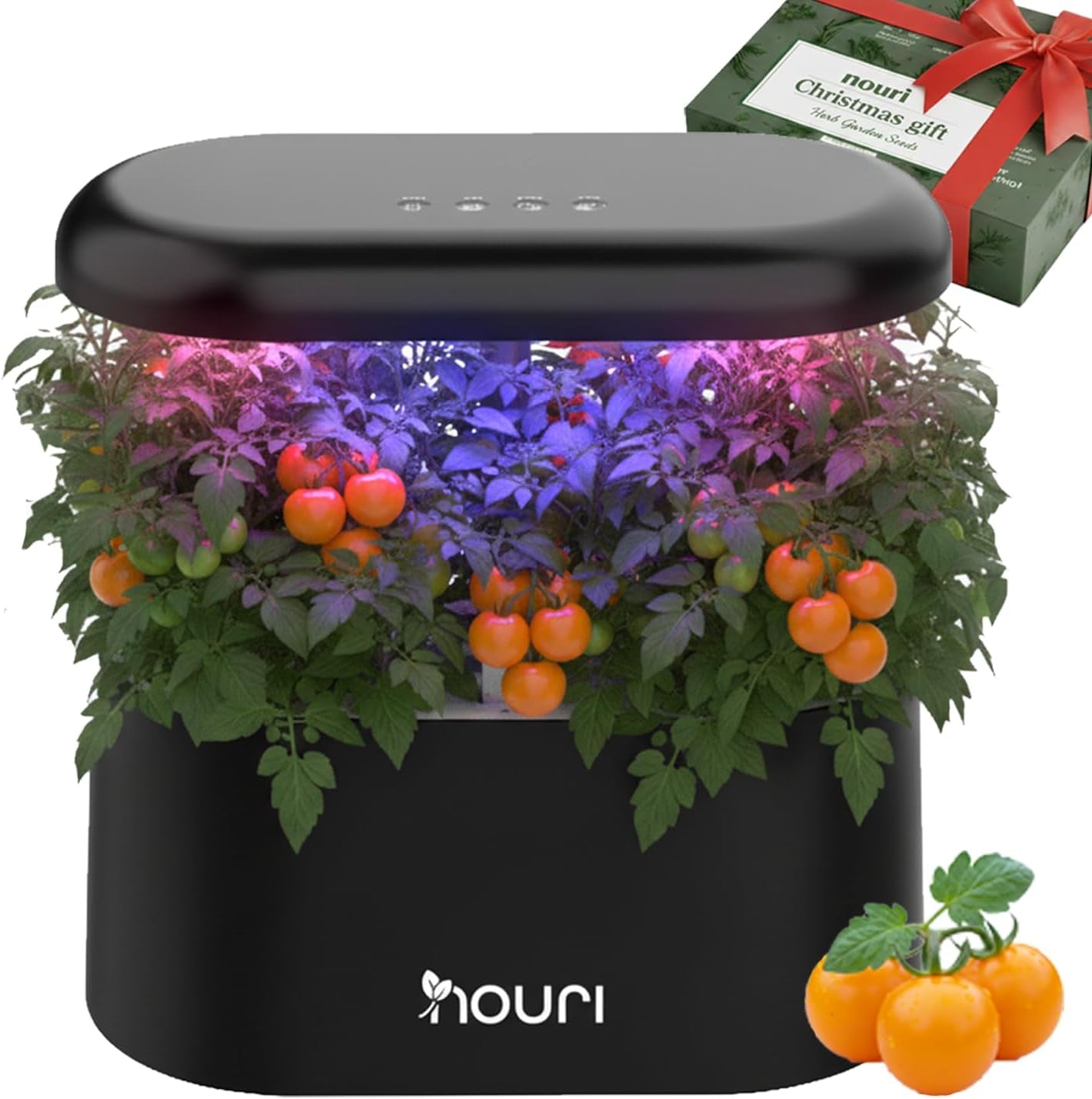 Ny 7 Bridge + Heirloom Basilikum | Smart Have til hjemmekokke | Hydroponisk dyrkningssystem | LED Grow Lights | Indendørs urtehavesæt til planteelskere og gartnere, hvid