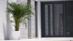 GHIVEC SAN REMO 30CM CU AUTOUDARE ANTRACIT, antracit