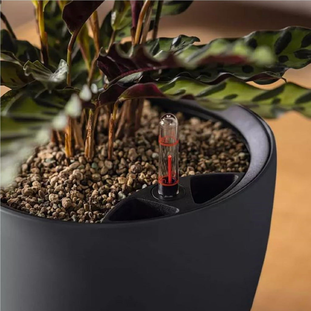 Jardinieră LECHUZA Classico Color LS gri ardezie cu sistem de irigare |Ø 35 × 32 cm|14281