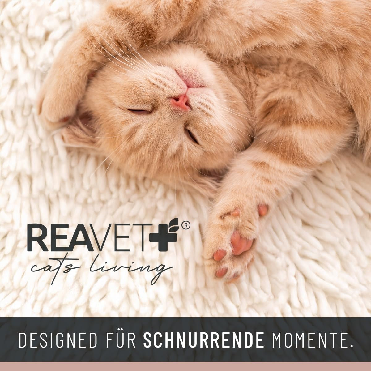 Pături & Mobilier, Animale de companie, Peșteri & Case, Pisici, Paturi pentru pisici, Pisici - culcusuri, saltele