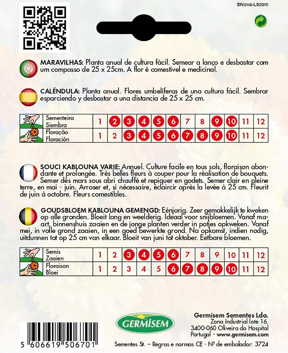 Morgenfruer, flerfarvet, EC1507