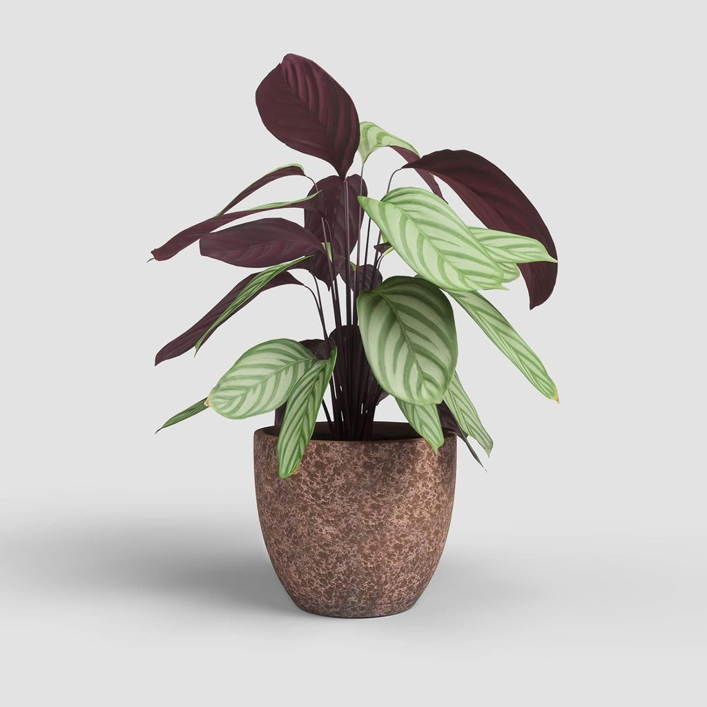 Artevasi Hestia Ghiveci, Ghiveci de flori, Ghiveci decorativ, Textură complexă, Ceramică lucrată manual, Culoare teracotă, 17 cm