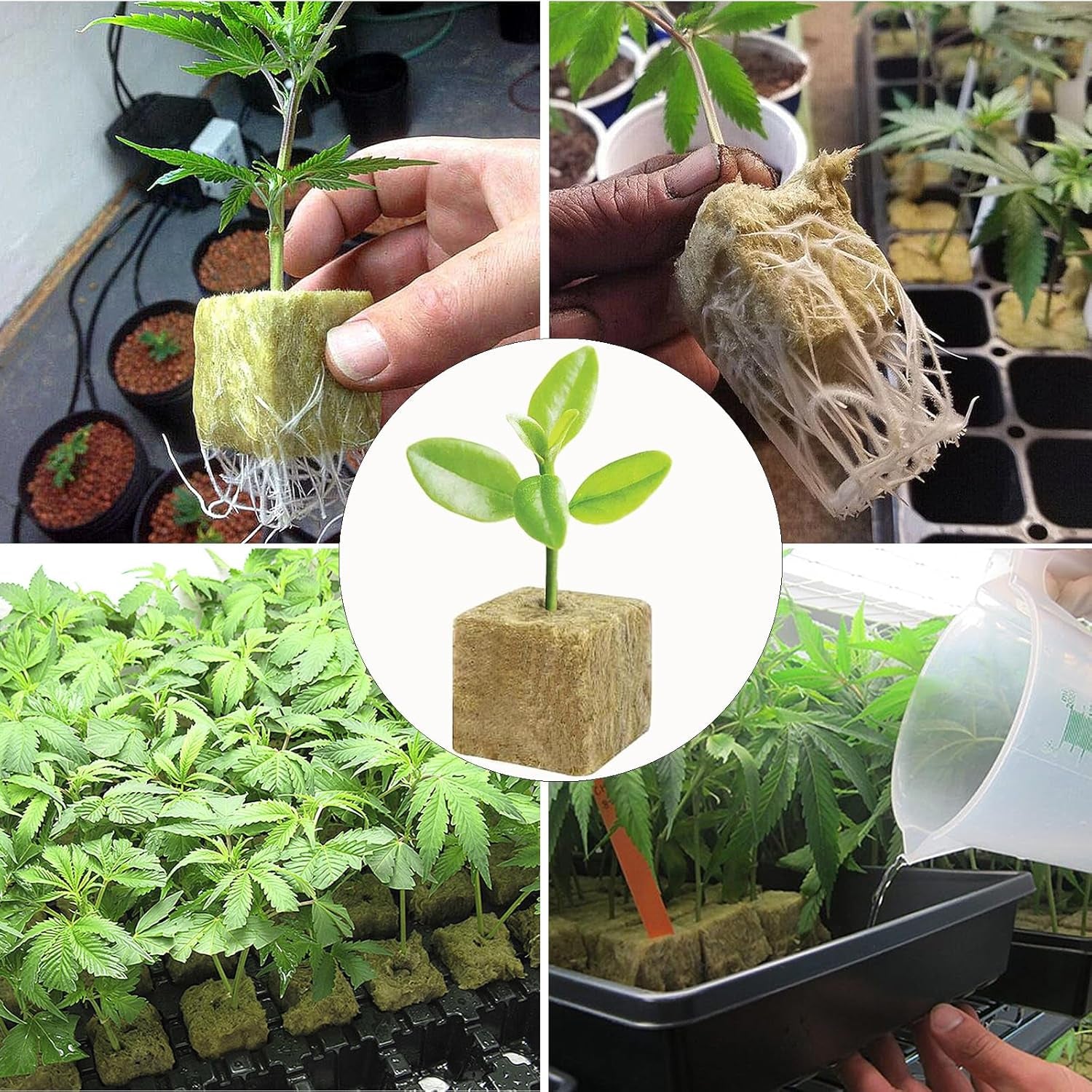 50 stk Mineraluldsdyrkningsmåtte, Mineraluldsterning, Mineraluldsisolering, Mineraluldsdyrkningsmåtte med saks og handsker til jordfri dyrkning, hydroponi og transplantation