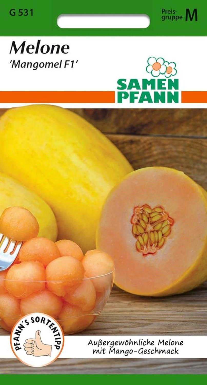 Melone, Mangomel F1 (Mangomelone) - Gemüse-Samen Melonen-Samen Saatgut Samen (Cucumis Melo)