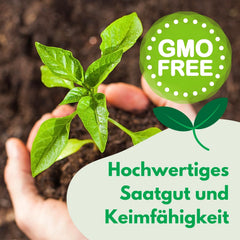 Cosmos Sensation Mix 1g frø, Cosmos Mix Sommerblomster, Haveplanter Balkonplanter, Blomsterfrø