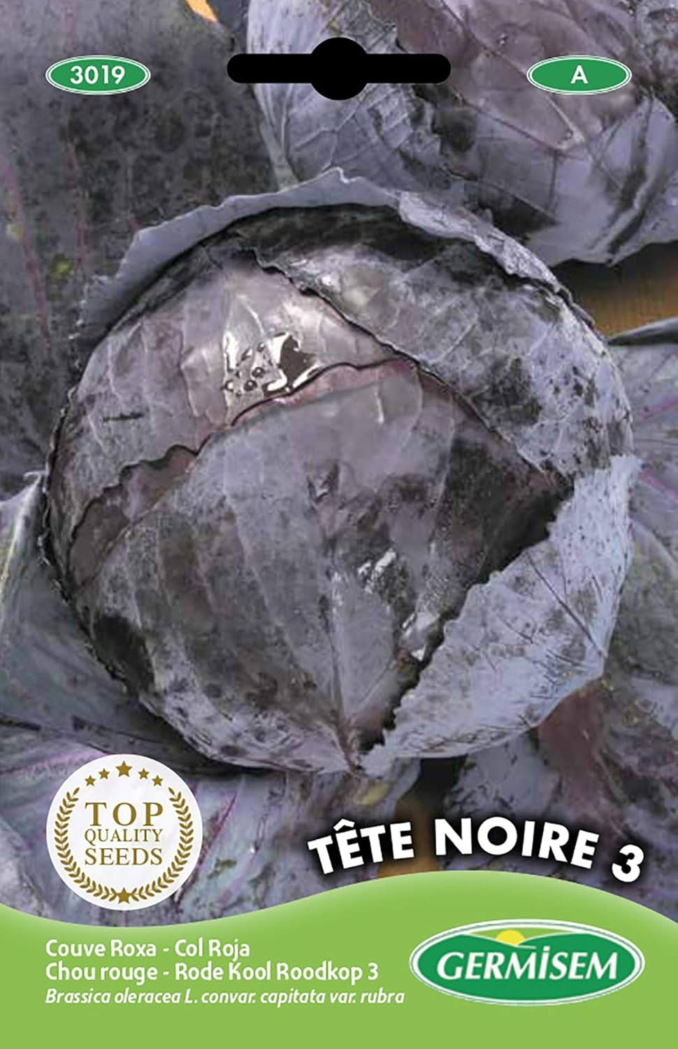 Rotkohl ROODKOP 3, Mehrfarbig, EC3019