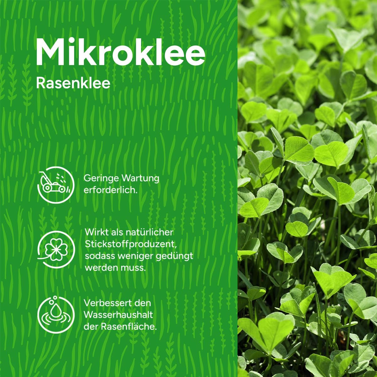 Mikroklee Rasenklee - 250 G Für 75 M² - Verdrängt Unkraut, Fixiert Stickstoff - Ganzjährig Grüner Rasen - Trockenheitsresistent - Für Alle Rasentypen Geeignet - Vergleichssieger: SEHR GUT