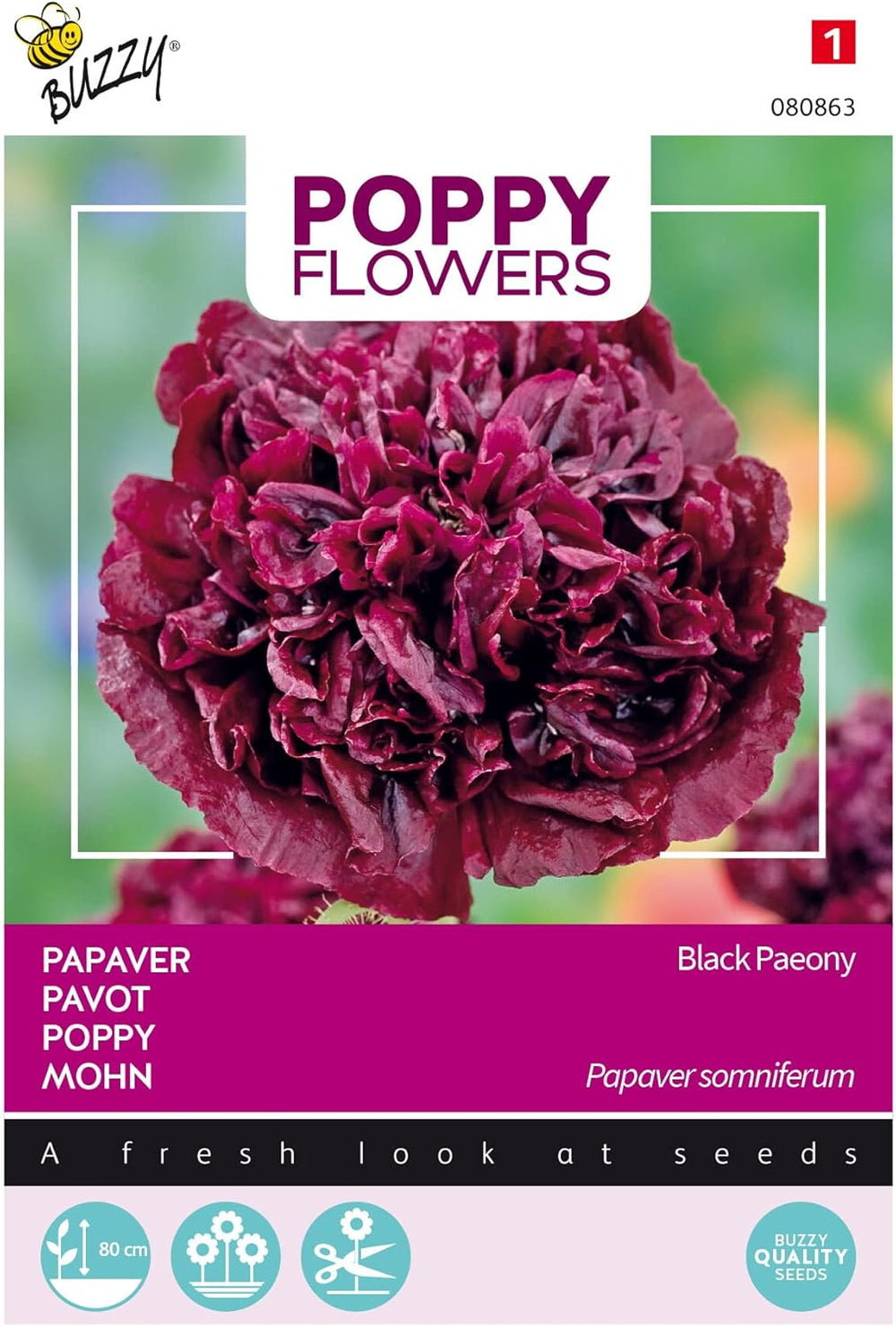 Blomster af Buzzy Poppy, Black Poppy Paeony