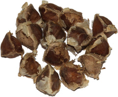 Moringa - Moringa oleifera - 10 frø *Også kaldet peberrodstræ*