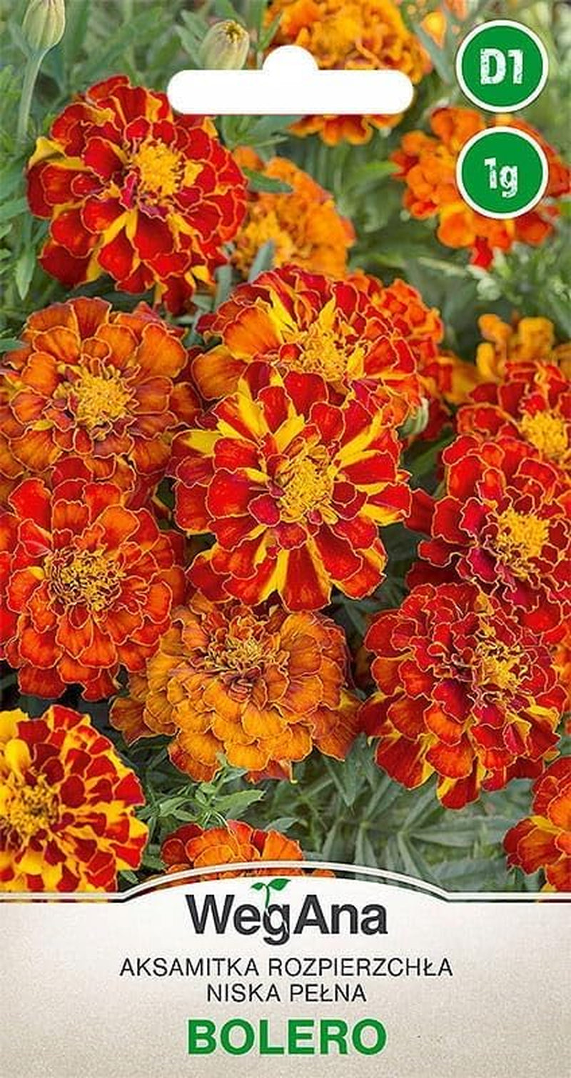 Cosmos Sensation Mix 1g frø, Cosmos Mix Sommerblomster, Haveplanter Balkonplanter, Blomsterfrø