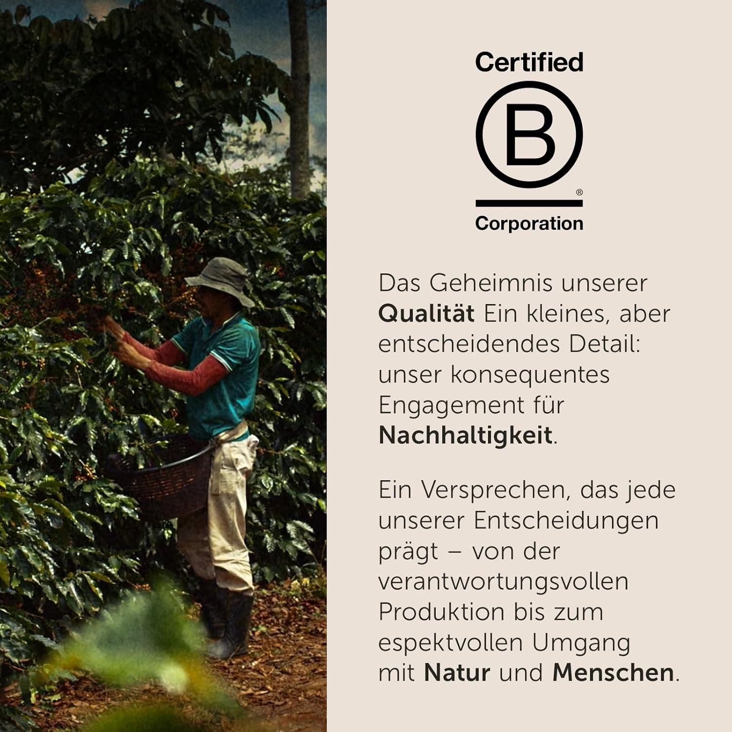 illy, Iperespresso Arabica Selection Kolumbien, 100% Arabica mit Fruchtigen Noten von Zitrusfrüchten und Roten Früchten, Geschmack mit Zarter Säure, 6 Packungen à 18 Kapseln (Insgesamt 108 Kapseln)