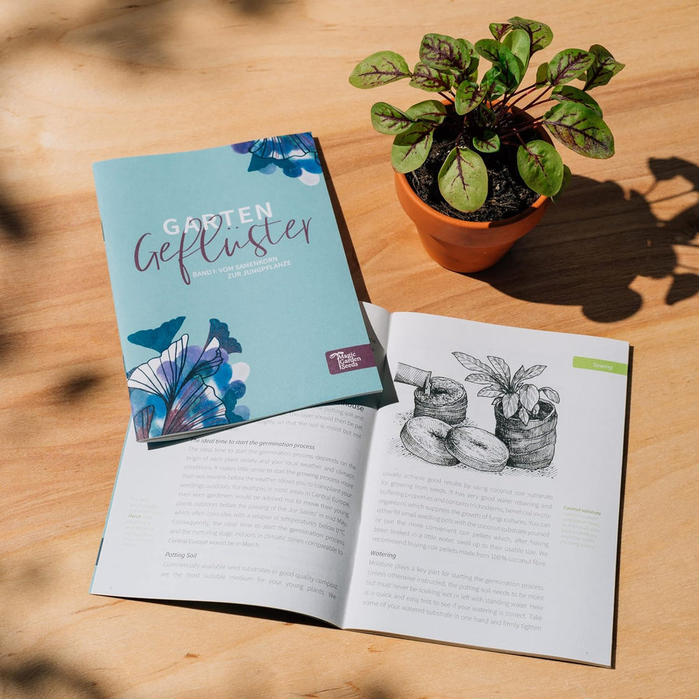 Magic Garden Seeds - Alte Erdbeersorten - Samen Geschenk Set Mit 3 Traditionellen, Köstlichen Sorten - Anzuchtset Mit Weißer Erdbeere, Roter Monatserdbeere Und Walderdbeere