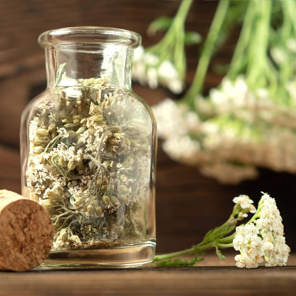 Tefrøsæt: 8 sorter af frø til altan og have - mynte, kamille, anis, brændenælde, malve - plantefrø - te - tekasse - Egendyrkede planter