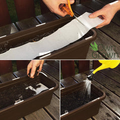 Farverig balkonblomstblanding - 2 premium balkonblomstfrømåtter Let at dyrke sommerblomster og vilde blomsterfrø fra egendyrkede insektvenlige etårige frø