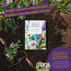 Magic Garden Seeds - Urter til katte: Katte-, baldrian-, salvie- og katteurt - Frøkasse med 4 planter til leg, nibler og afslapning
