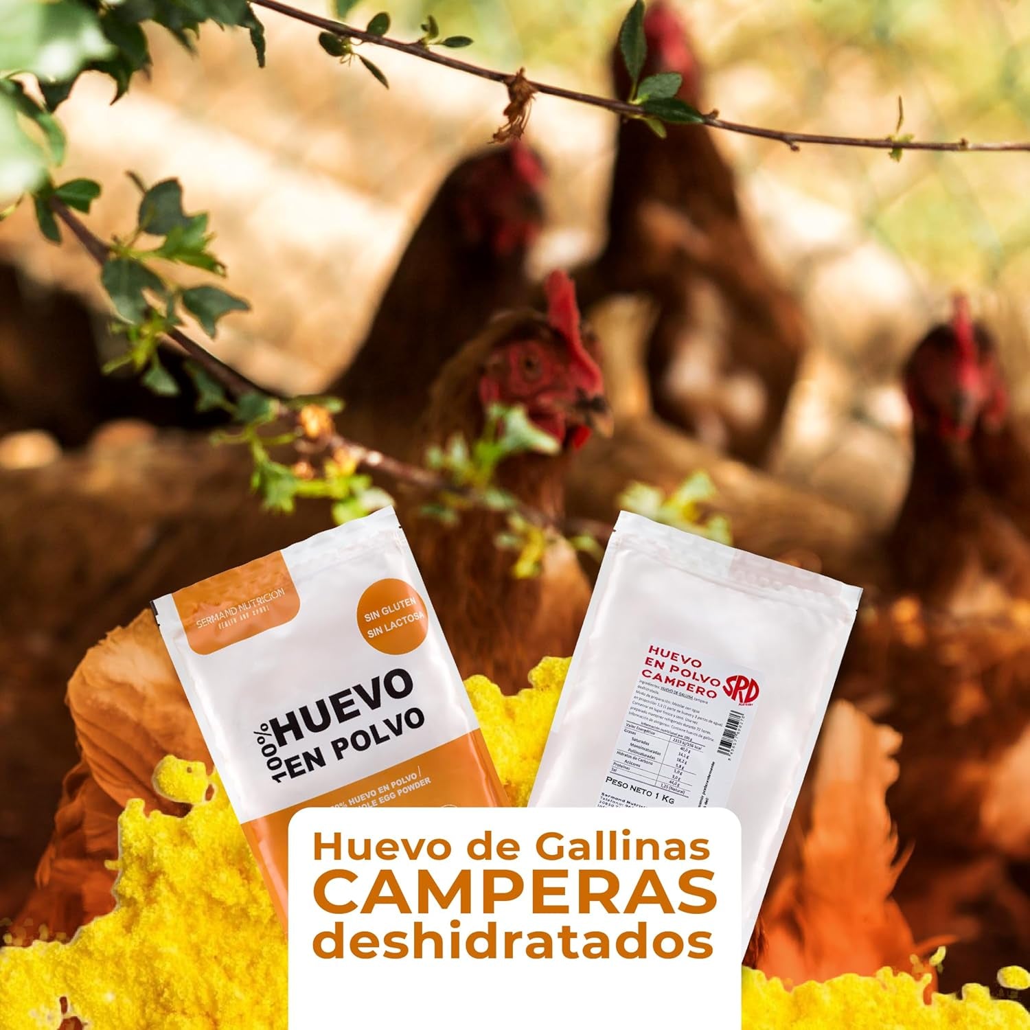 Eipulver aus Freilandeiern (1kg) | Pasteurisiertes Vollei Pulver | Ohne Zusatztoffe | Glutenfri & laktosefri | Vakuumverpackung i Zip-Beutel