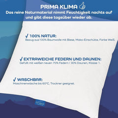 LINEA by Böhmerwald - Cosy - Pernă de înaltă calitate Balance, 80X80, 70% pene clasa 1, 30% puf nou, potrivit pentru alergici, lavabil până la 60°C, produs în Germania Perne standard Naty Shop