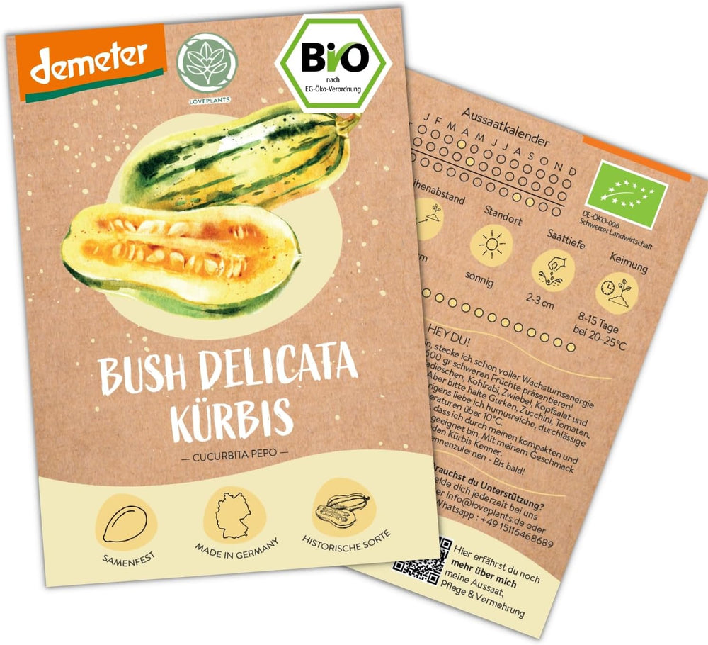 Økologiske mini mexicanske agurkfrø, 10 snacksagurkfrø, høj spireevne, Demeter-certificeret og åbent bestøvet | LOVEPLANTS Balkon Have Højbed Grøntsagsfrø - Heirloom Grøntsagssorter