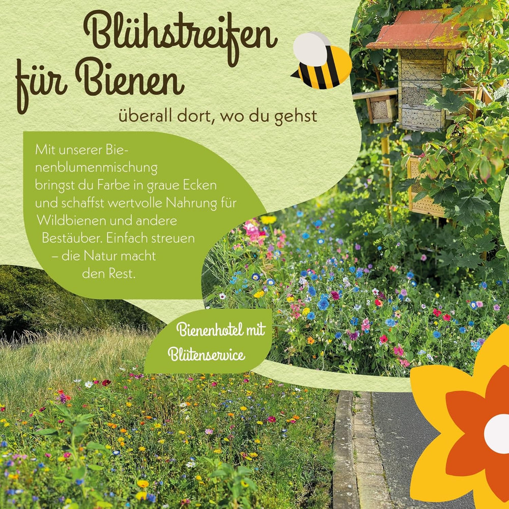 100 g Premium vildblomstfrø til en farverig blomstereng - levende og nektarrig blomsterfrøblanding til bier og sommerfugle (inkluderer GRATIS e-bog)