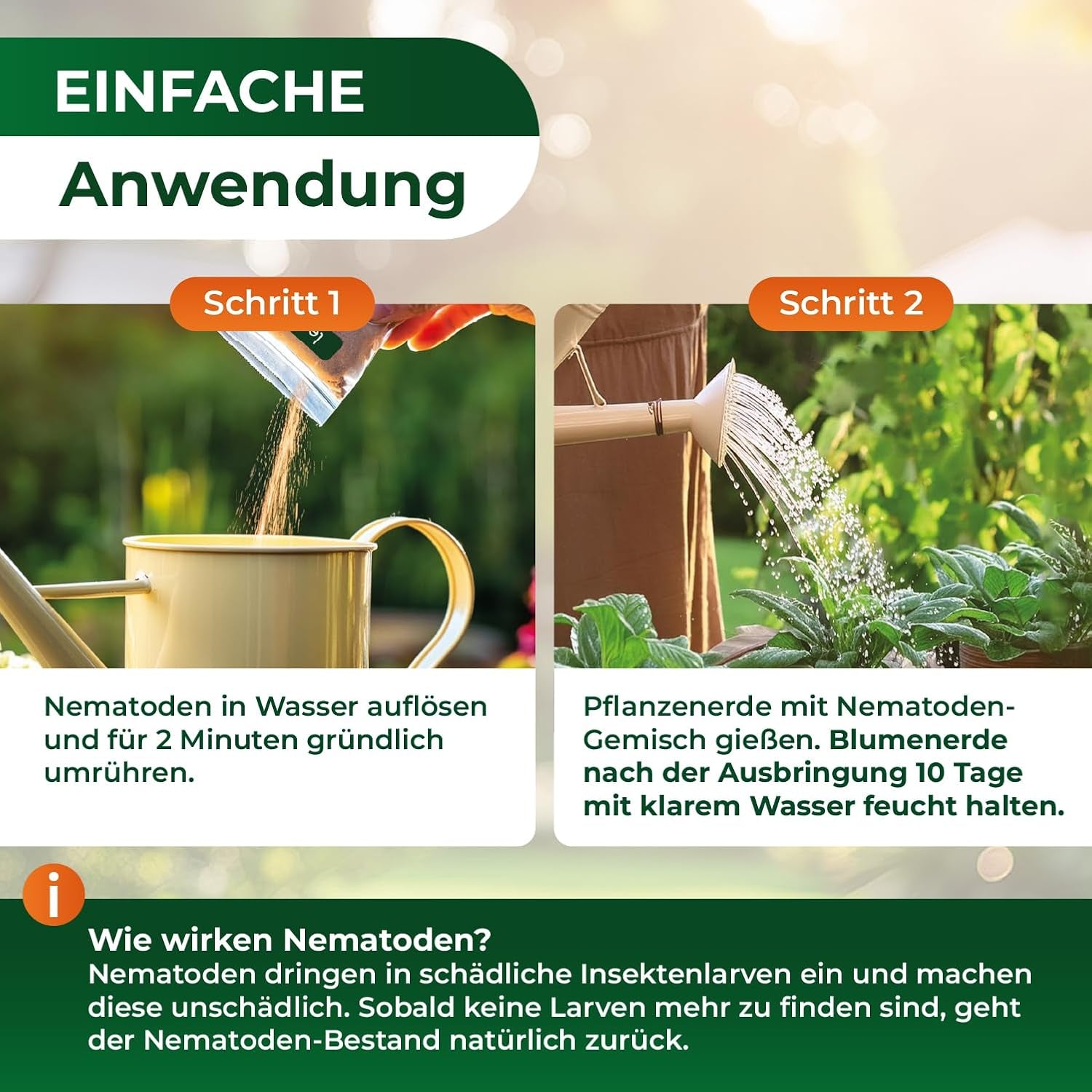 Legona Sc-Nematoden Zur Bekämpfung Von Maulwurfsgrillen - 50 Mio. Für 100M² / 250L Blumenerde/Bio Schädlingsfrei Gießmittel Für Rasen Und Beet