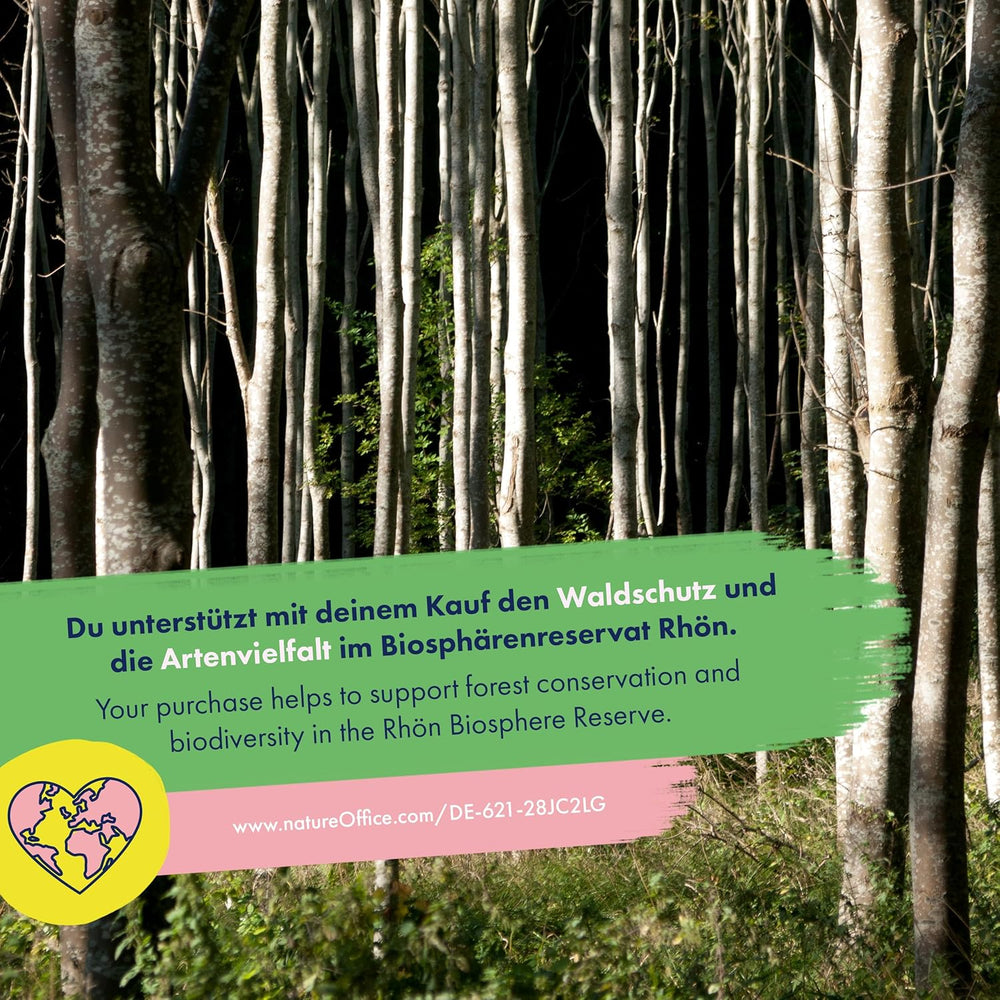 Blooming Rainbow - 6 gratis bestøvede blomsterblandinger - Spektakulære og farverige - Frøsæt til begyndere, som en lille gave eller til personlig brug