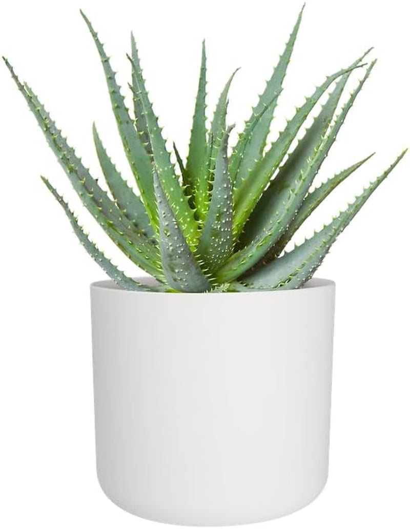 elho B.for Soft Round 14 - Ghiveci de flori de interior - Plastic 100% reciclat - Ø 13,8 x H 12,5 cm - Verde/Verde frunză