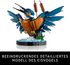 LEGO Icons Kingfisher Modelbyggesæt til voksne, Fuglefigur til stue eller kontor, Dekorationer til hjemmet og kontoret, Gave til fugleelskere og ornitologer, Kvinder og Mænd 10331 Byggesæt Besuche den LEGO-Store