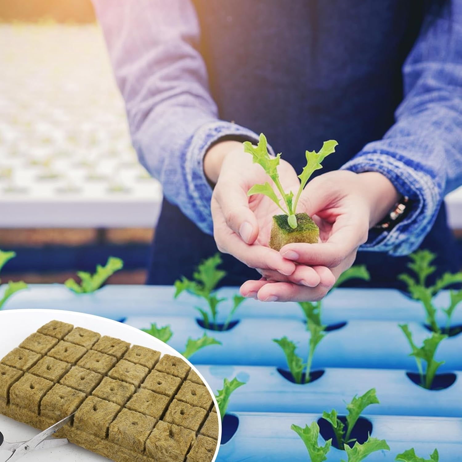 28 Rockwool-terninger, Rockwool-sæt, Rockwool-dyrkningsmåtte, jordfri hydroponisk vækstmåtte, Rockwool-terning, Rockwool-terninger til stiklinger, kloning, formering 4*4*4 cm