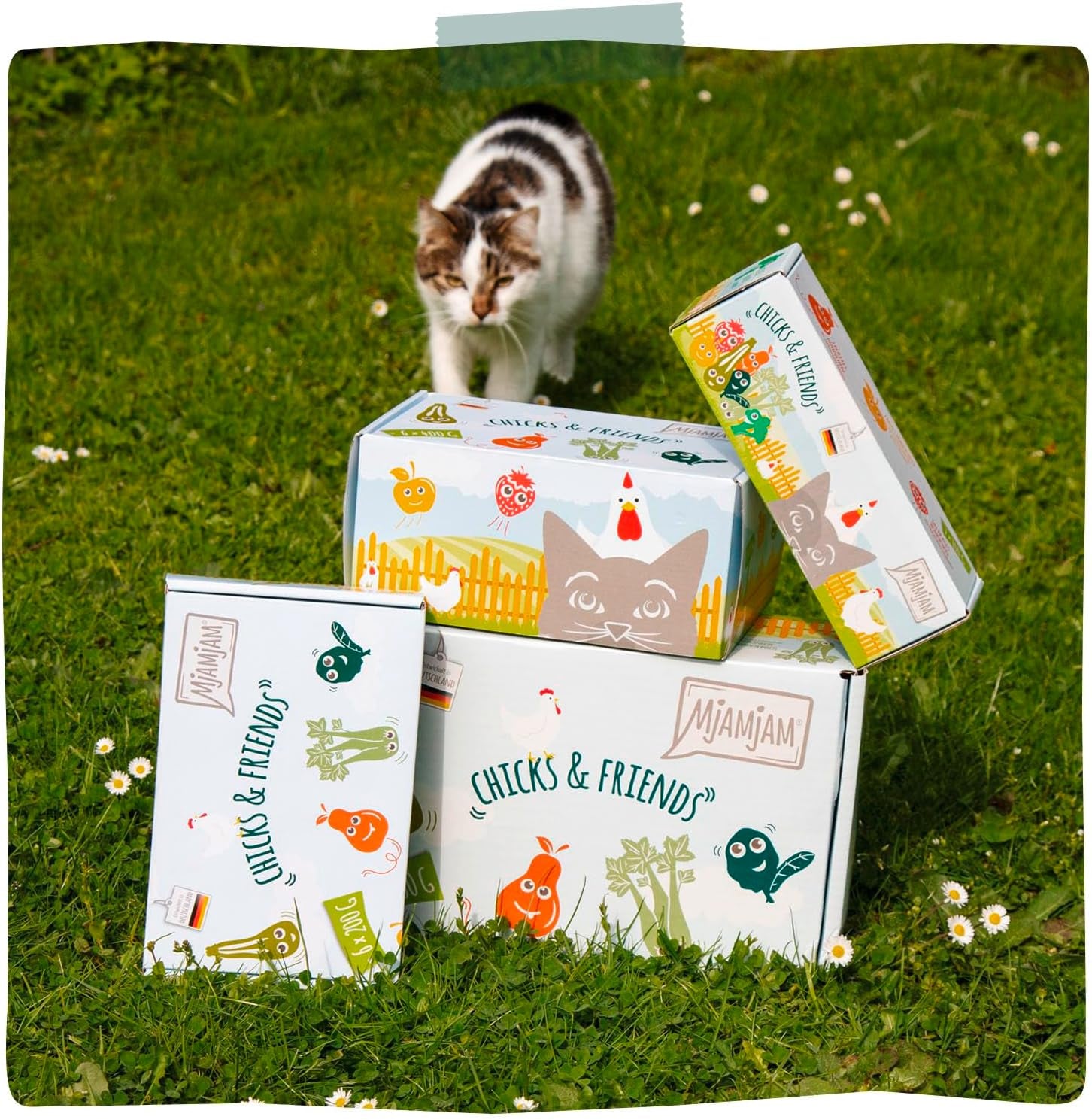 MjAMjAM - Premium Nassfutter für Katzen - Chicks & Friends Box, 9er Pack (9 x 300g), getreidefrei mit extra Fleisch