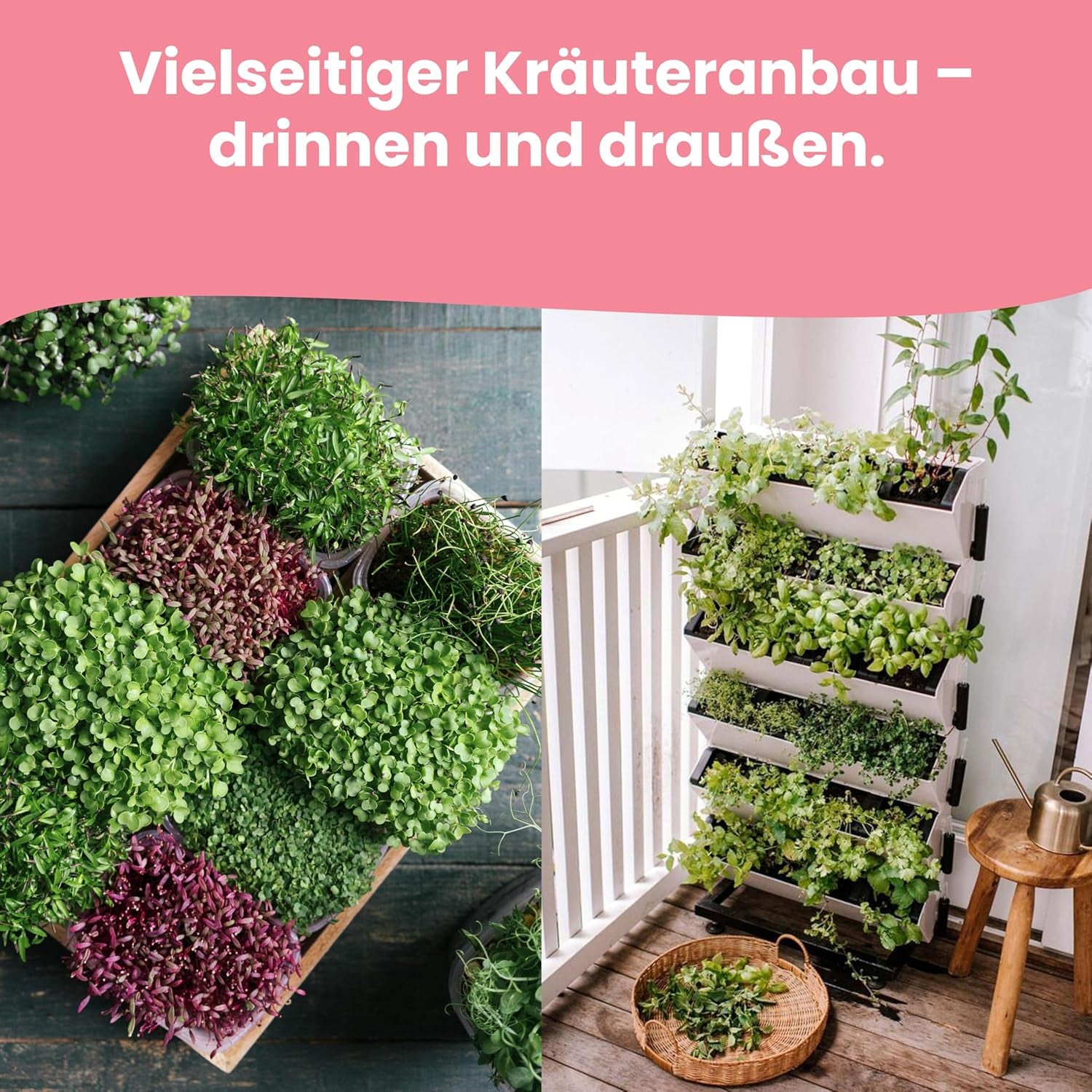 LERAVA Kräutersamen Sæt – 12 Sorten: Basilikum Samen, Parsilie Samen, Koriander, Oregano & Mehr – Saatgut für frische Kräuter im Garten eller Topf, Premium Samen für Küche & Balkon - Samen sæt, frø