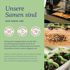 Magic Garden Seeds - Fortryllede planter med 6 magiske urter: Malurt, Malurt, Mandrake og mere - Røgelsesplanter til at dyrke dig selv og give som gaver